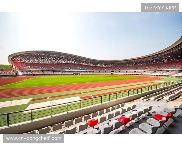 大型专业足球场承办业余赛事的价值与运营模式